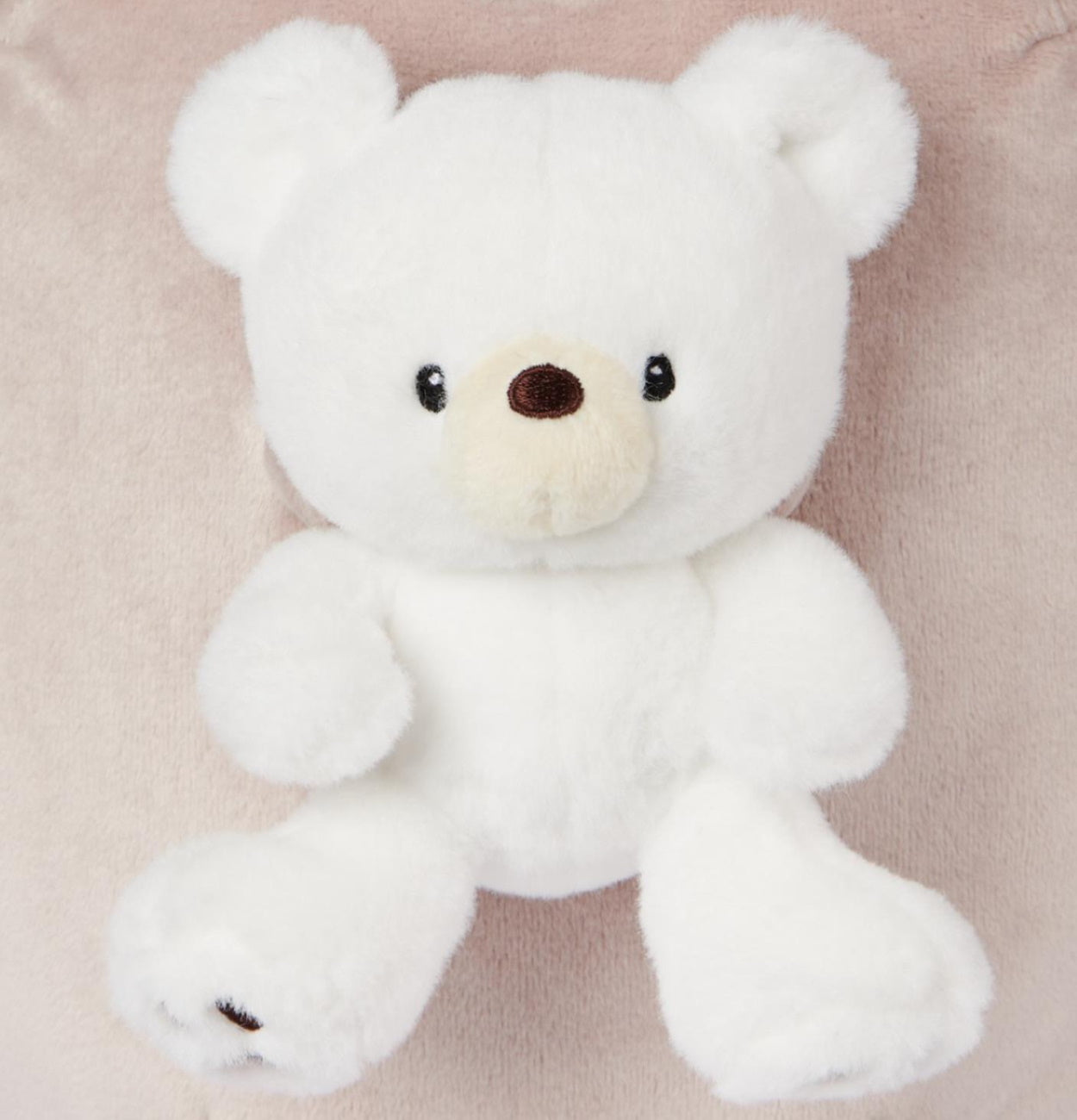 Pusheen Plush Holding Kai Bear